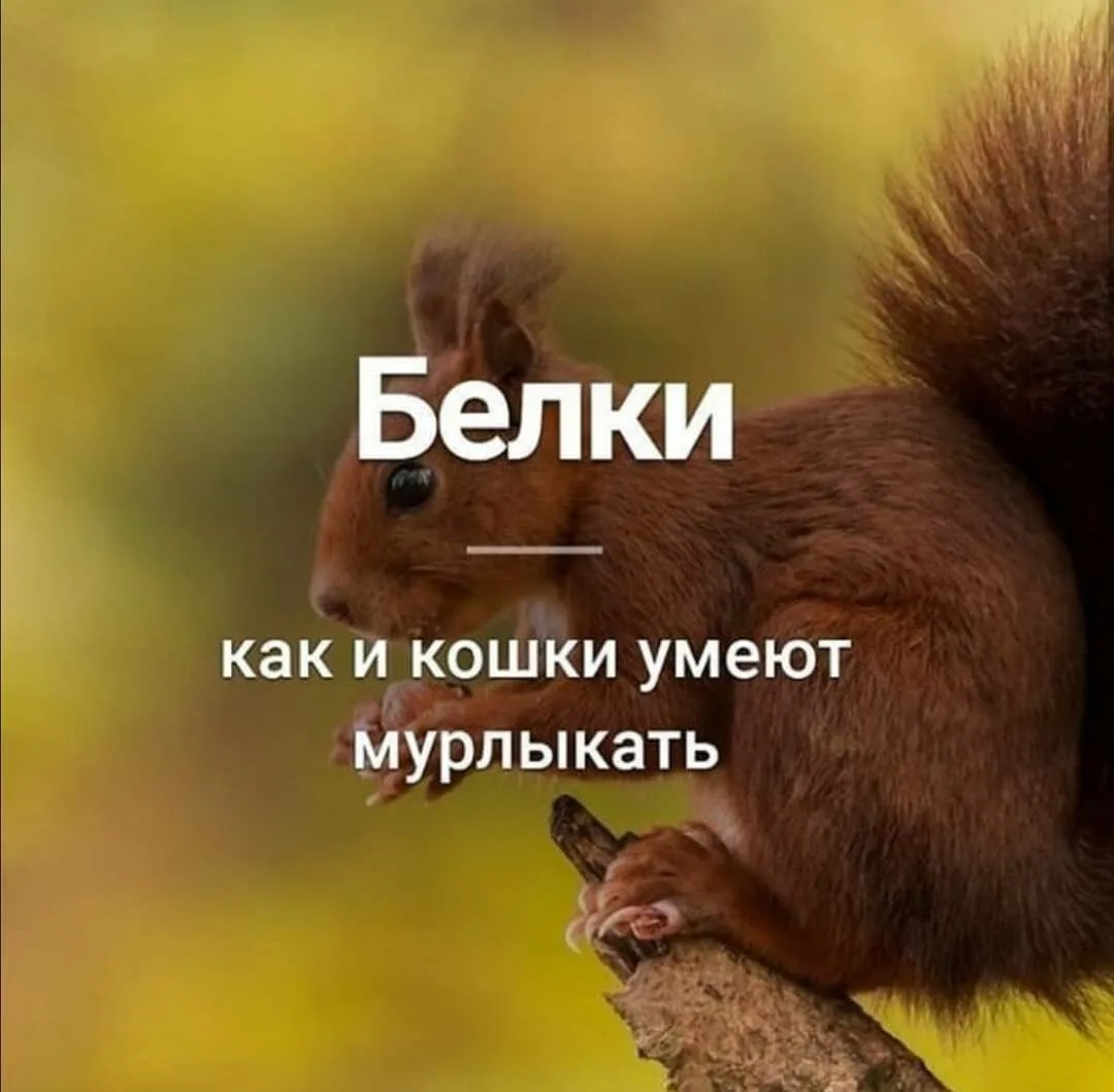 Признавайтесь, знали?