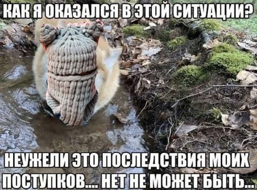 Каждую серию возникает один и тот же вопрос...😂