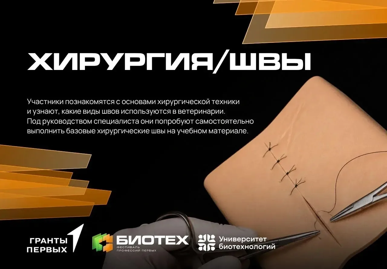 🙌🏻 Профессии будущего на Михайловской набережной Новосибирска!
