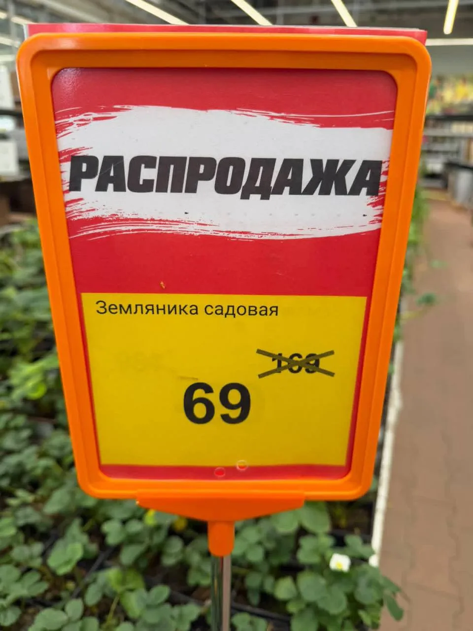 🍓Дом Лента