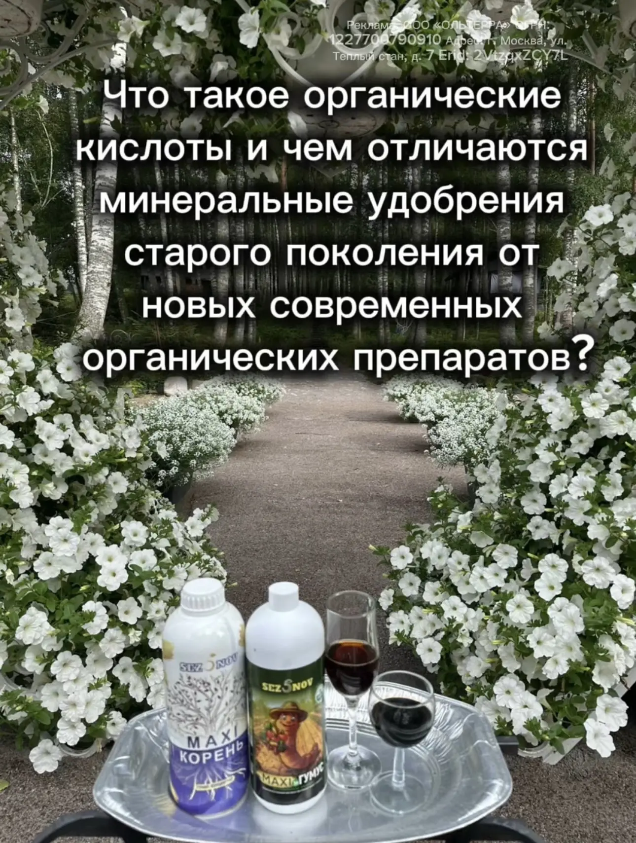 Сегодня легко и одновременно сложно! Ну и как всегда - много 😉.

Когда я рассказываю вам про растен