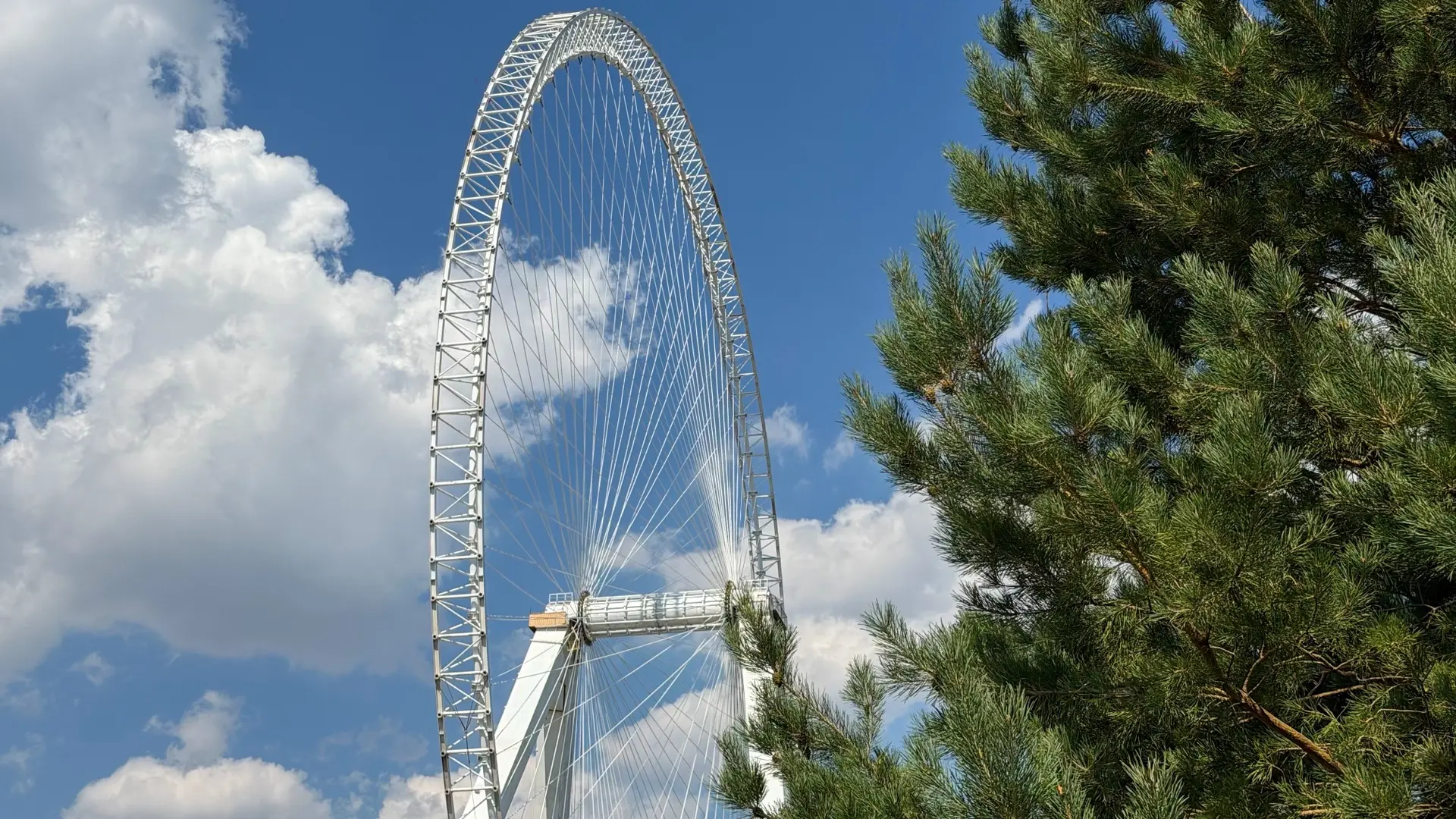 🦅🎡 Масштаб ощущается!