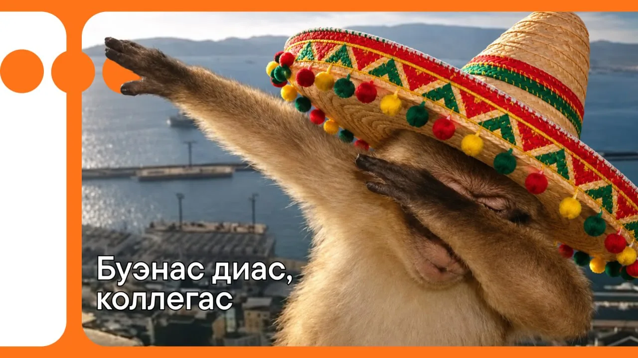 😳  Ну…привет. Как выходные прошли?