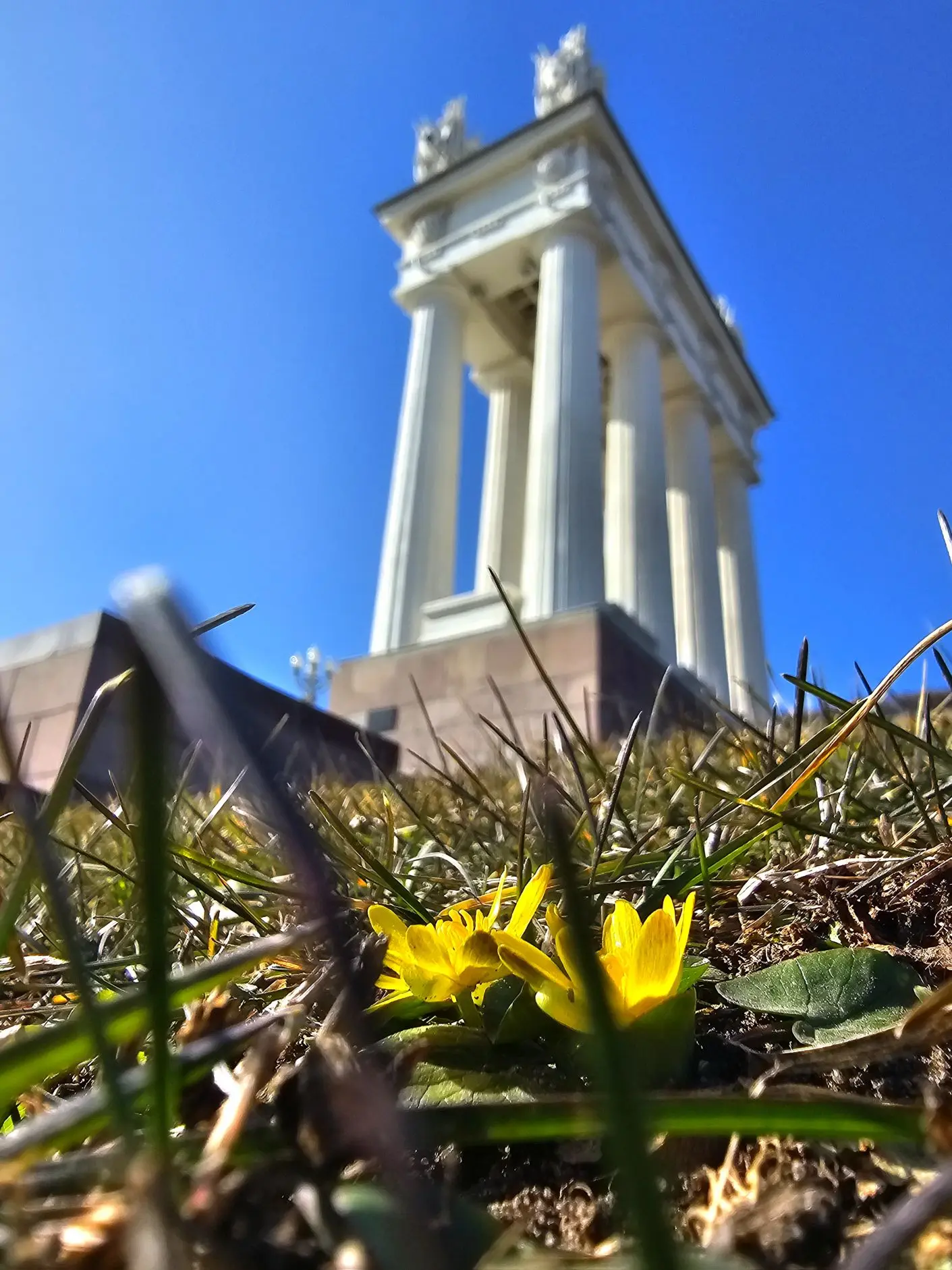 💐  Первые цветы наступившей весны 2026 💐