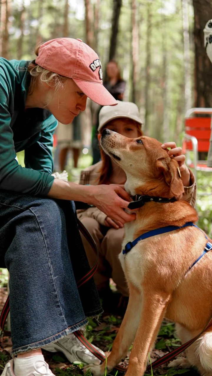 🐕 В парке Маяковского, 23 мая, в парке снова пройдёт фестиваль по пристрою животных «Дорога домой». 