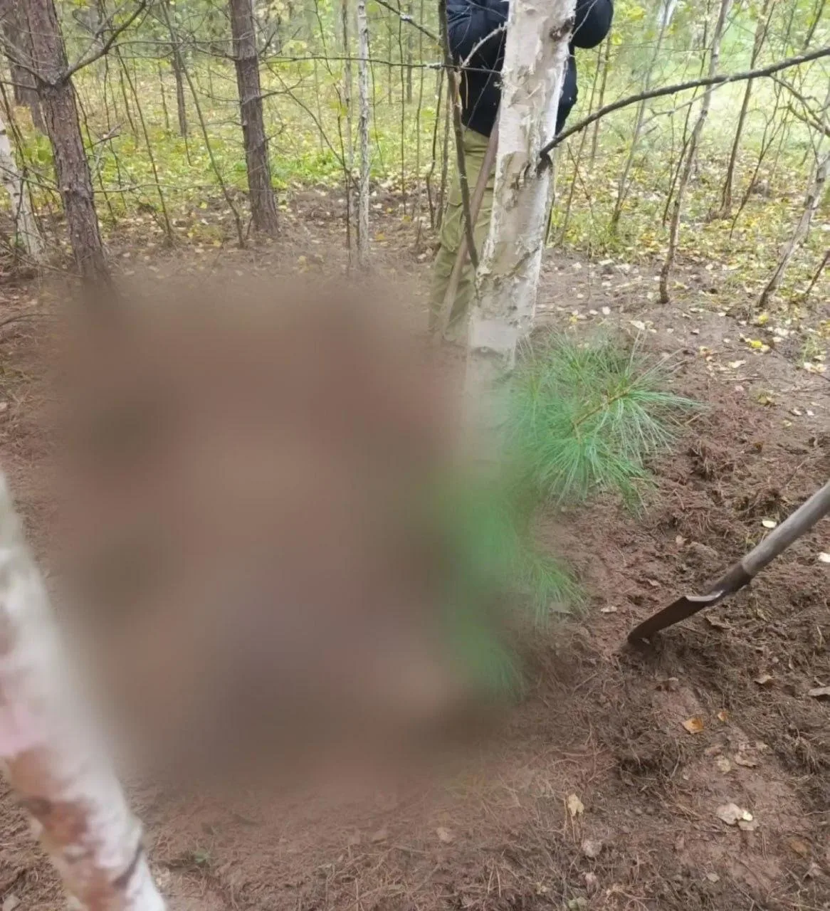 🤯В Сибири медведь по очереди растерзал двух женщин