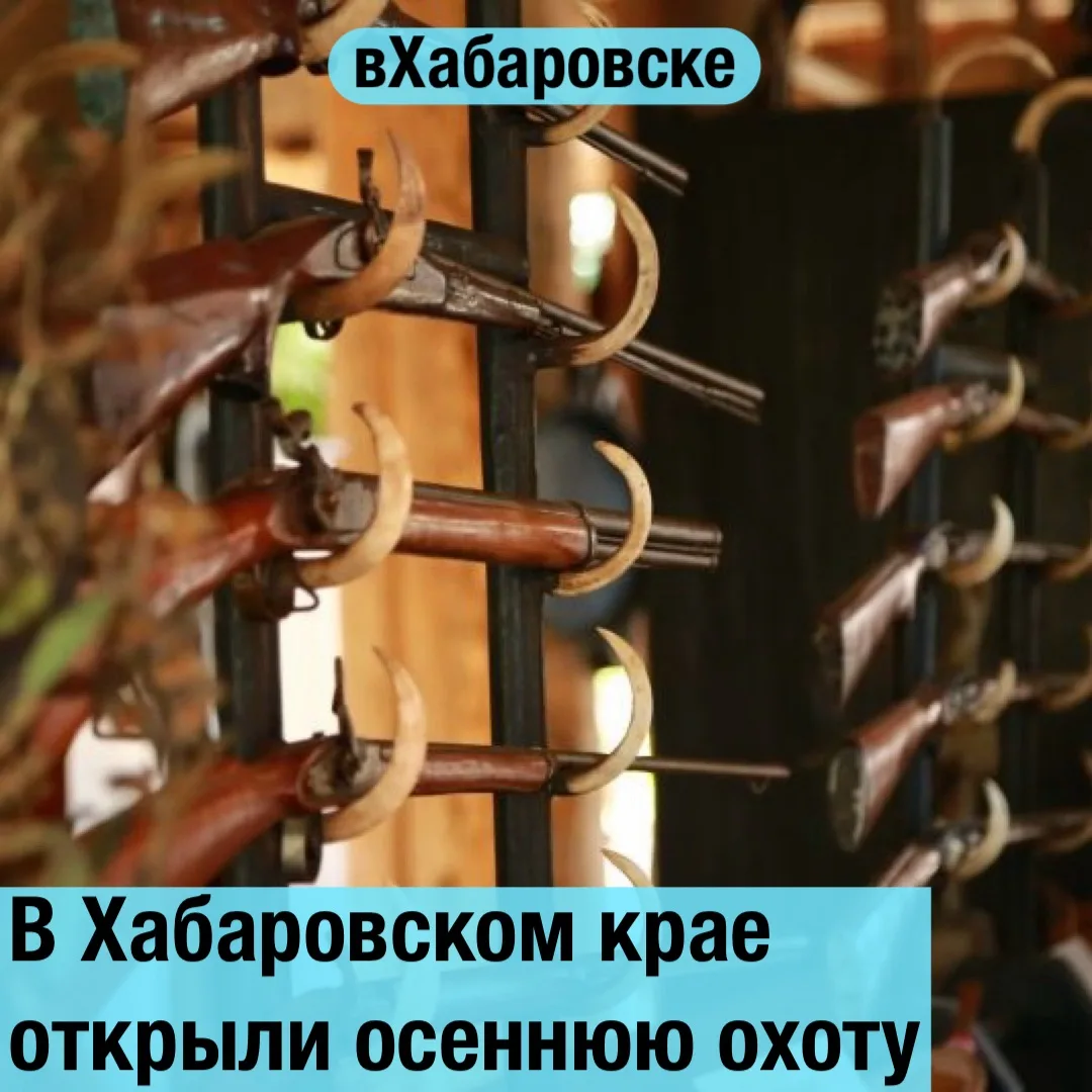 В Хабаровском крае открыли осеннюю охоту