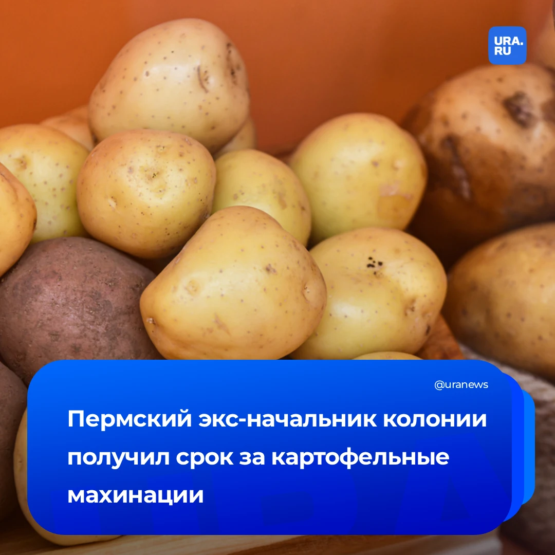 Начальник пермской колонии осужден за махинации с картошкой
