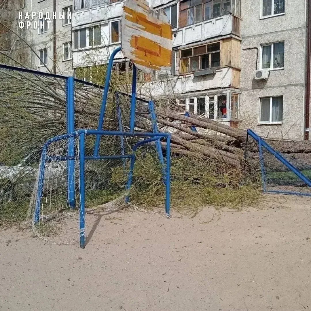 ❗️В Тюмени дерево рухнуло на детскую площадку после жалоб жителей на его аварийное состояние.

Инцид