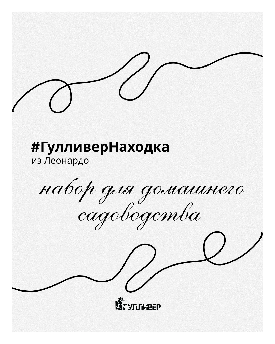 🪴 #ГулливерНаходка: набор для домашнего садоводства