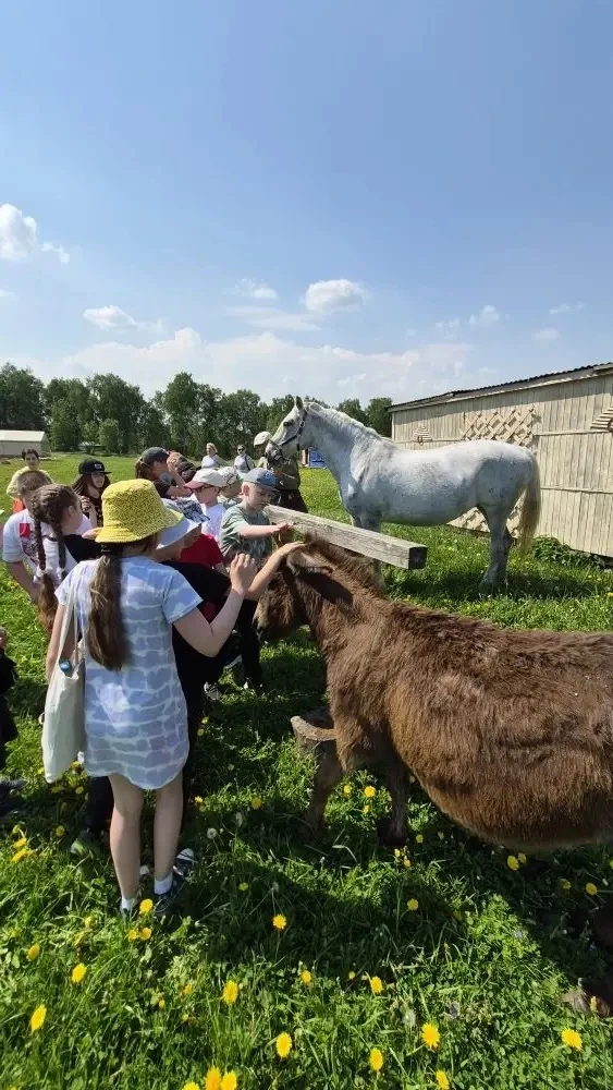 ☀️💛 Ребята 4в класса посетили центр Соколиной охоты. Увлекательный квест, лекция в музее, знакомство