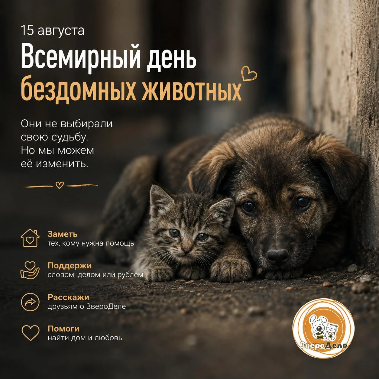Когда-нибудь бездомные животные останутся только на старых фотографиях...
