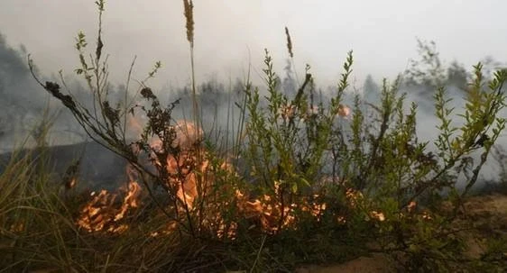🚒 В Ростовской области за сутки потушили 20 пожаров