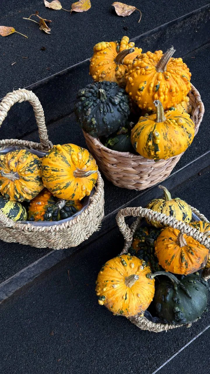 Какие хорошенькие декоративные тыквы у нас в наличии 🍁🍂