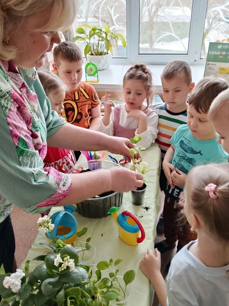 🌸 Волшебное превращение: от маленького черенка — к пышной клумбе! 🌸

В марте ребята из старшей гру