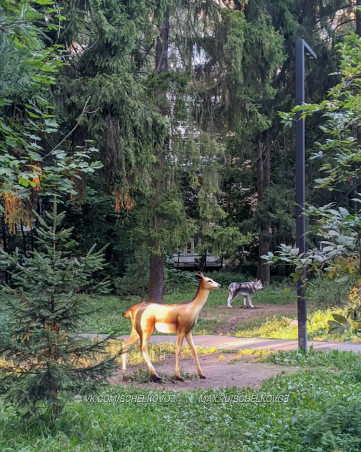 Лучик солнца в Шервуде 😍