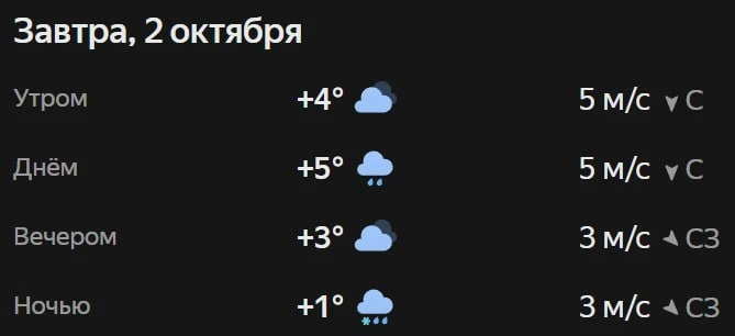 По прогнозу погоды — дождь