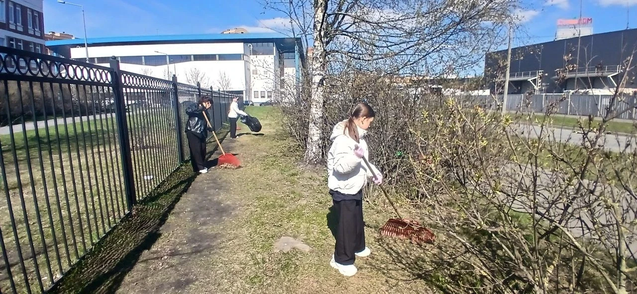 🌱 Забота о природе начинается с малого ☘️   Ребята 6 «Б» класса вместе с классным руководителем Эльв