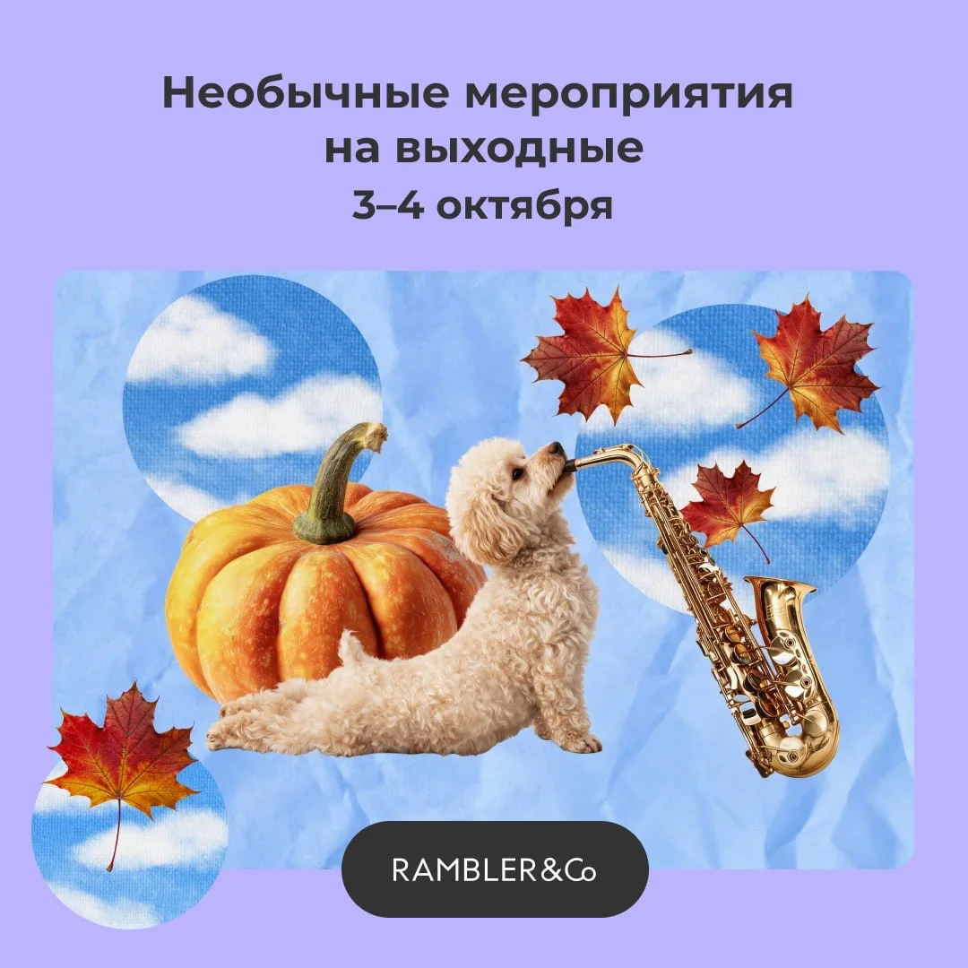 Маршрут на выходные, в котором эстетика старинных особняков переплетается с дерзкой гас...