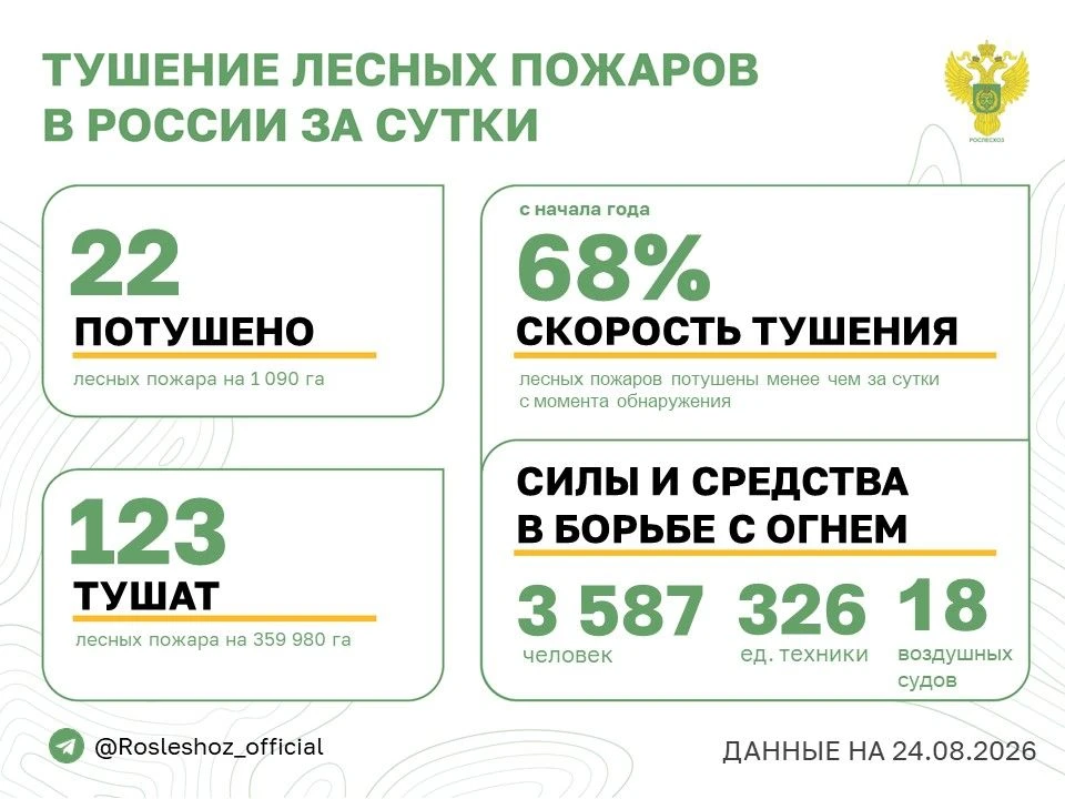 🟢 За прошедшие сутки в 11 регионах России потушили 22 лесных пожара.
