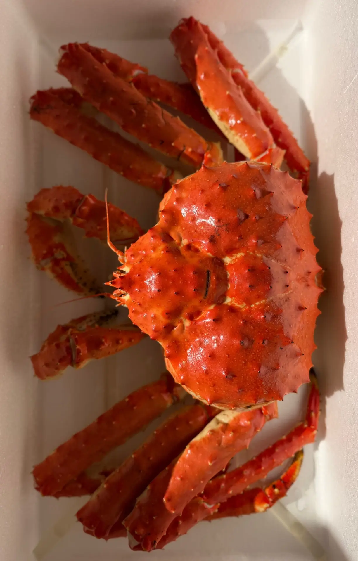 🦀 Живой Камчатский краб уже в пути!