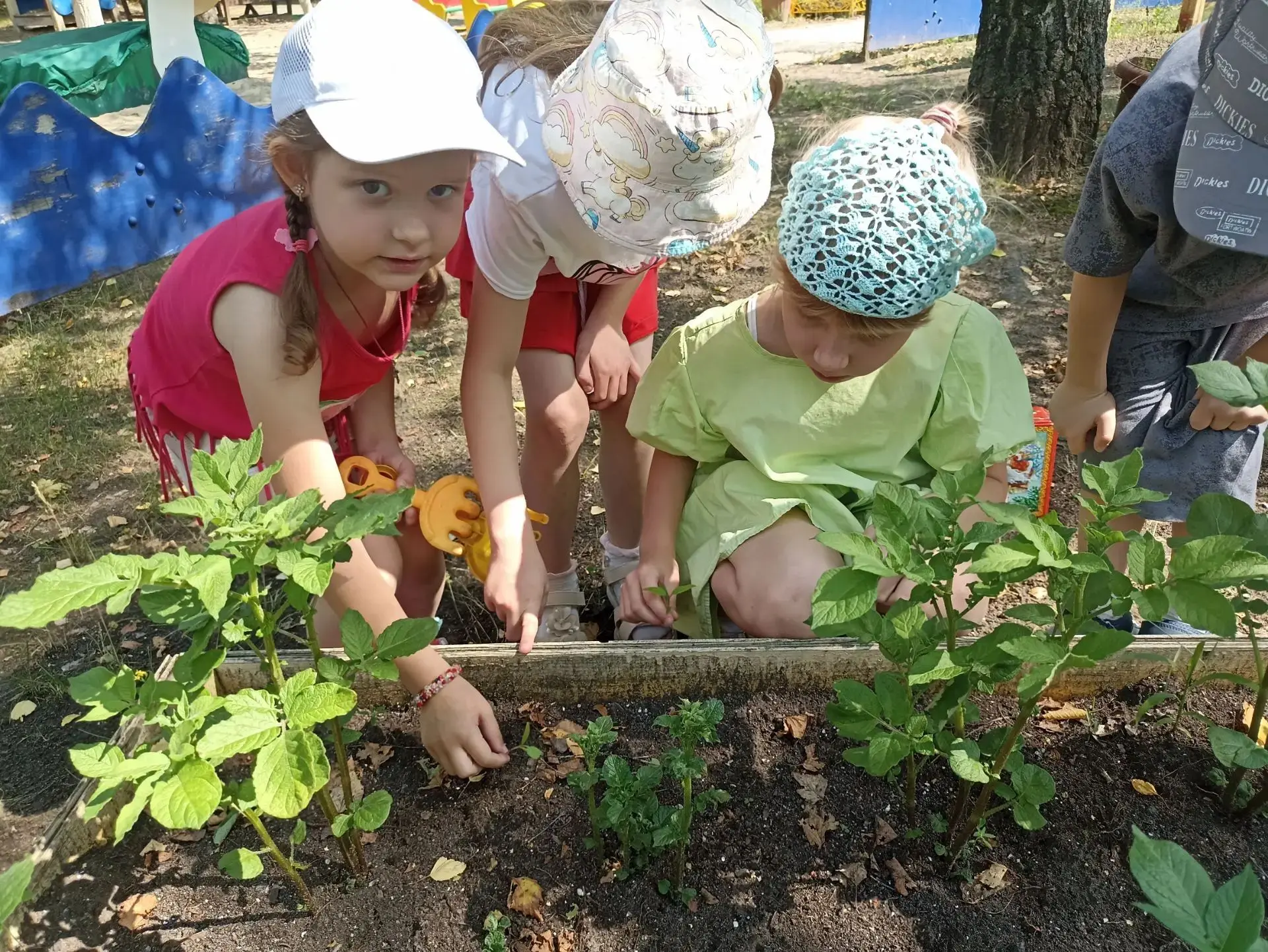 🌱 Мы — юные садоводы!

Наши ребята с любовью ухаживают за грядками: поливают, рыхлят, наблюдают, ка