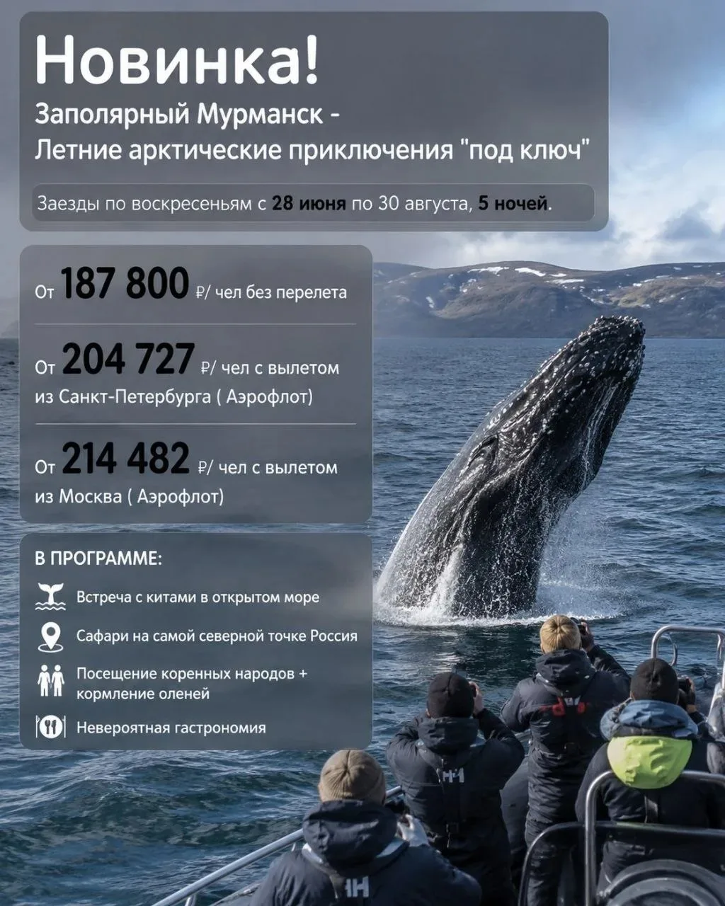 🤞Включено: