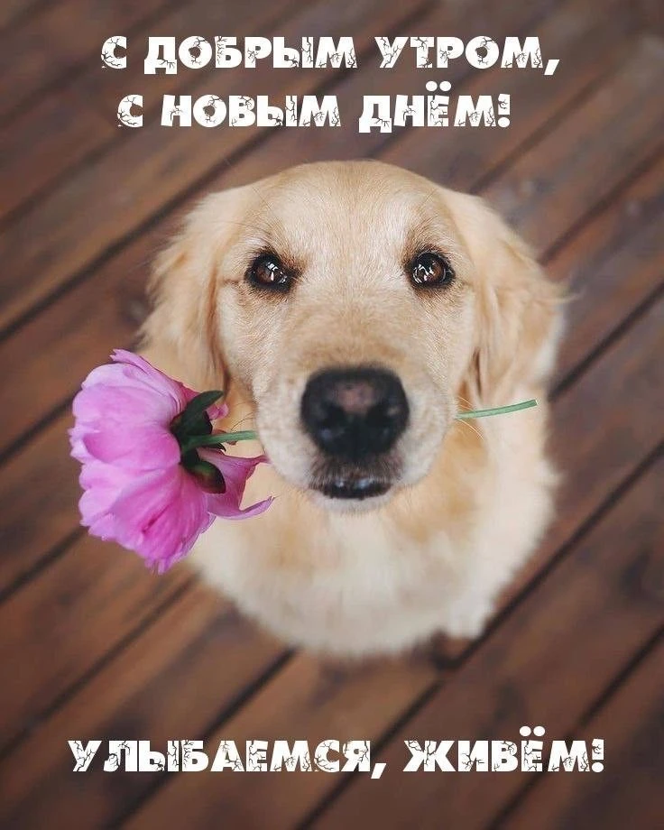 КРАСИВЫЕ ОТКРЫТКИ ТУТ💖