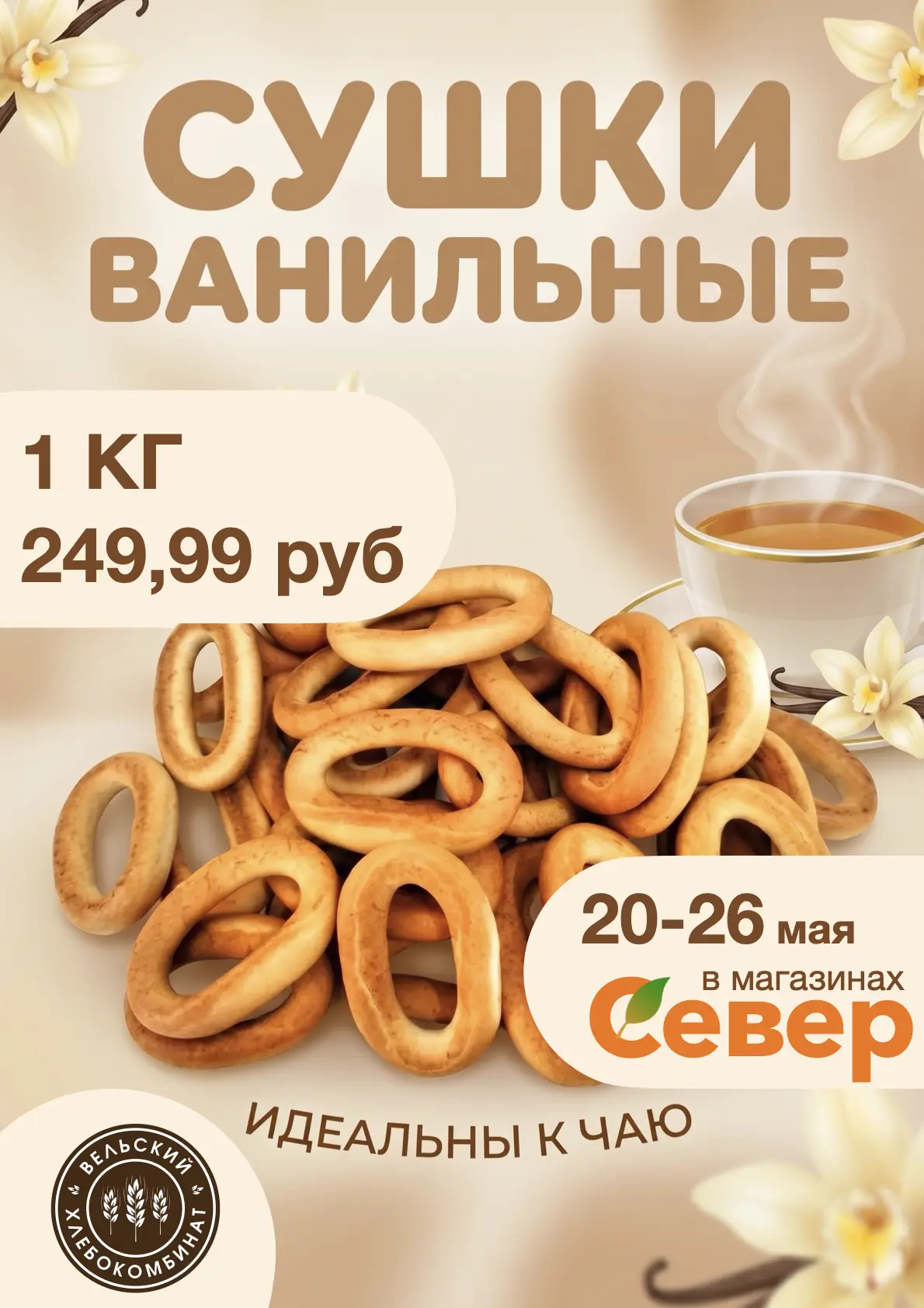 Здравствуй, Вельск!