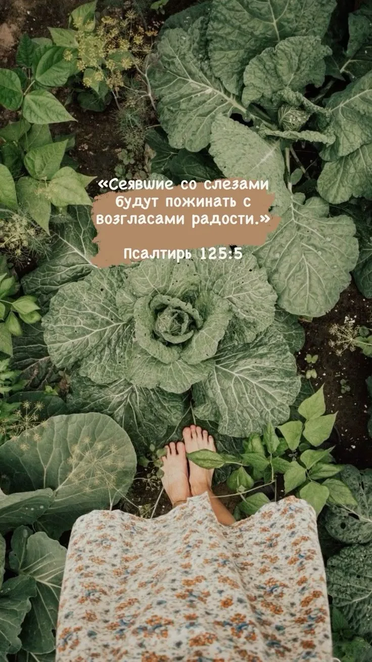 👉 Наши каналы. Подписаться.