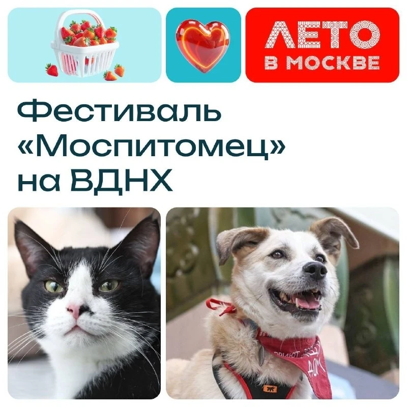 Изображение 1 к публикации «Подслушано Медведково | Бабушкинская | Свиблово | Москва | Метро Ботанический сад | ВДНХ | Алексеевская | Рижская | Мытищи | ЖК Полар | Нормандия | Белый Град | Скандинавский | Работа | Вакансии»