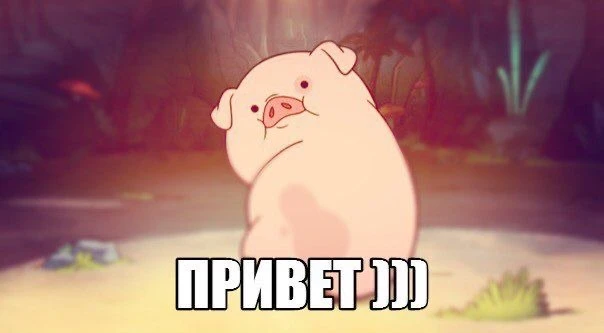 Все наши каналы