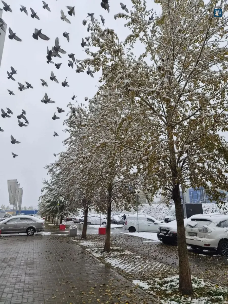 ❄️ Снежный понедельник в Екатеринбурге. Фото от наших читателей