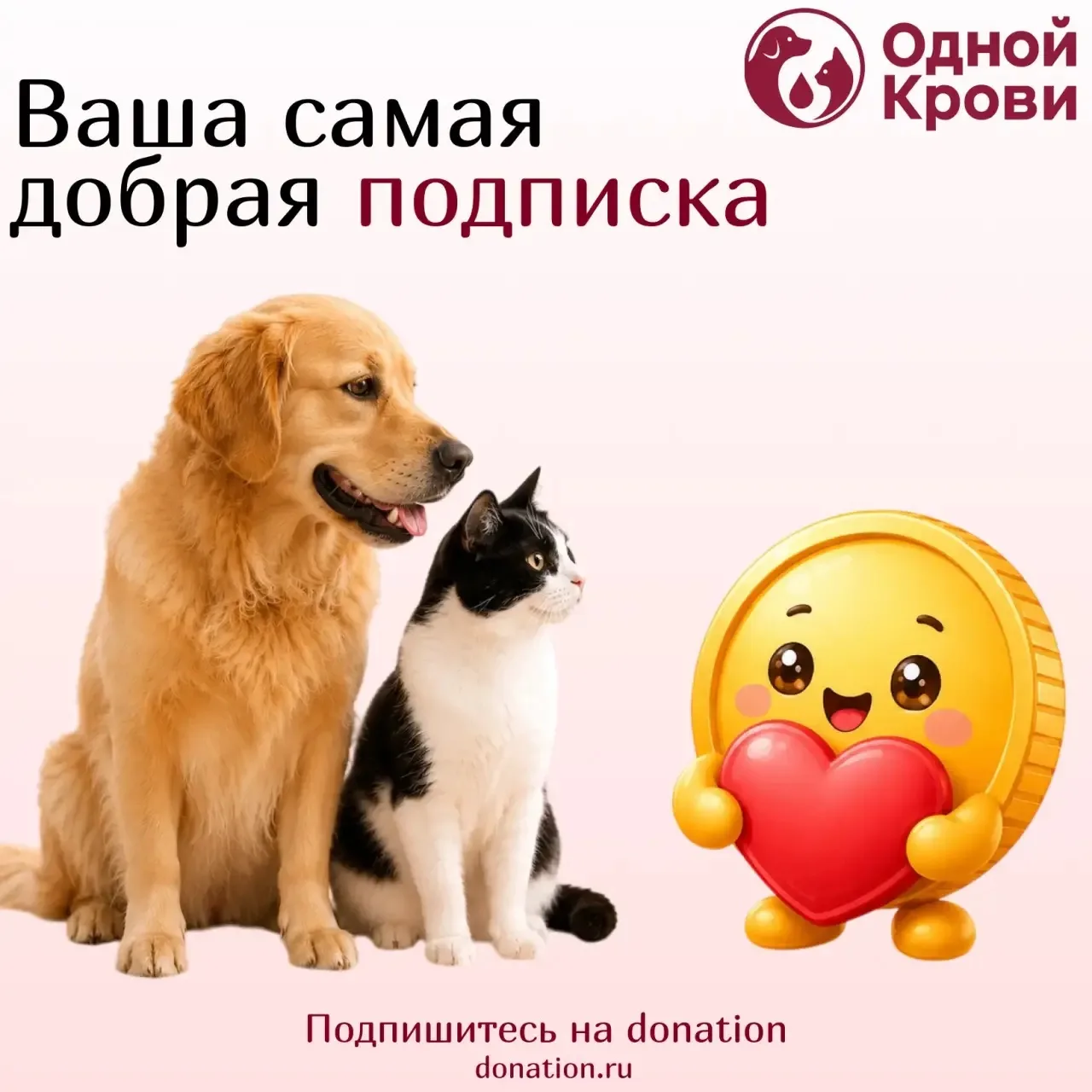Сегодня, 20 июля — День благотворительной подписки

В рамках этого дня проходит акция «Подпишитесь н