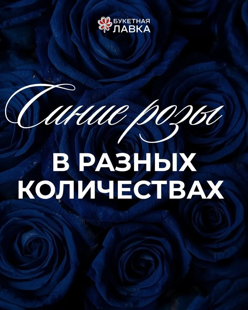 ✨АКЦИЯ✨