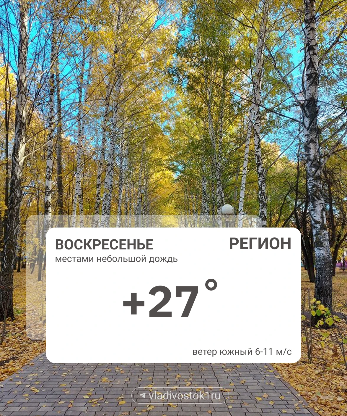 Погода 13 сентября.