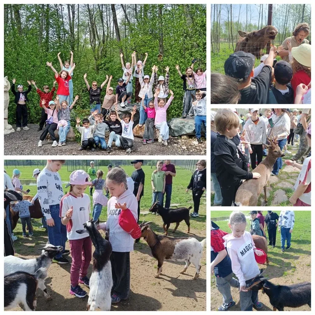 🐫 Знакомство с дикой природой: экскурсия в Подмосковный сафари-парк