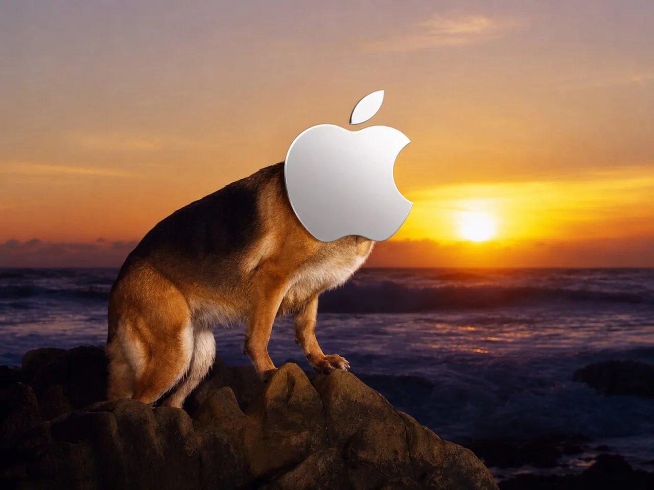 У MAX сломались пуши на iPhone — они просто перестали приходить на iOS, сообщили представители мессе