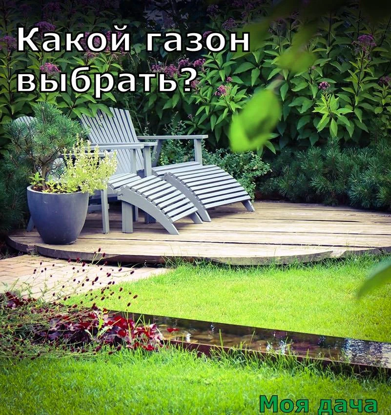 Какой газон выбрать? 🌿

Многие считают, что газон — это скучно и однообразно. Но на самом деле мир 