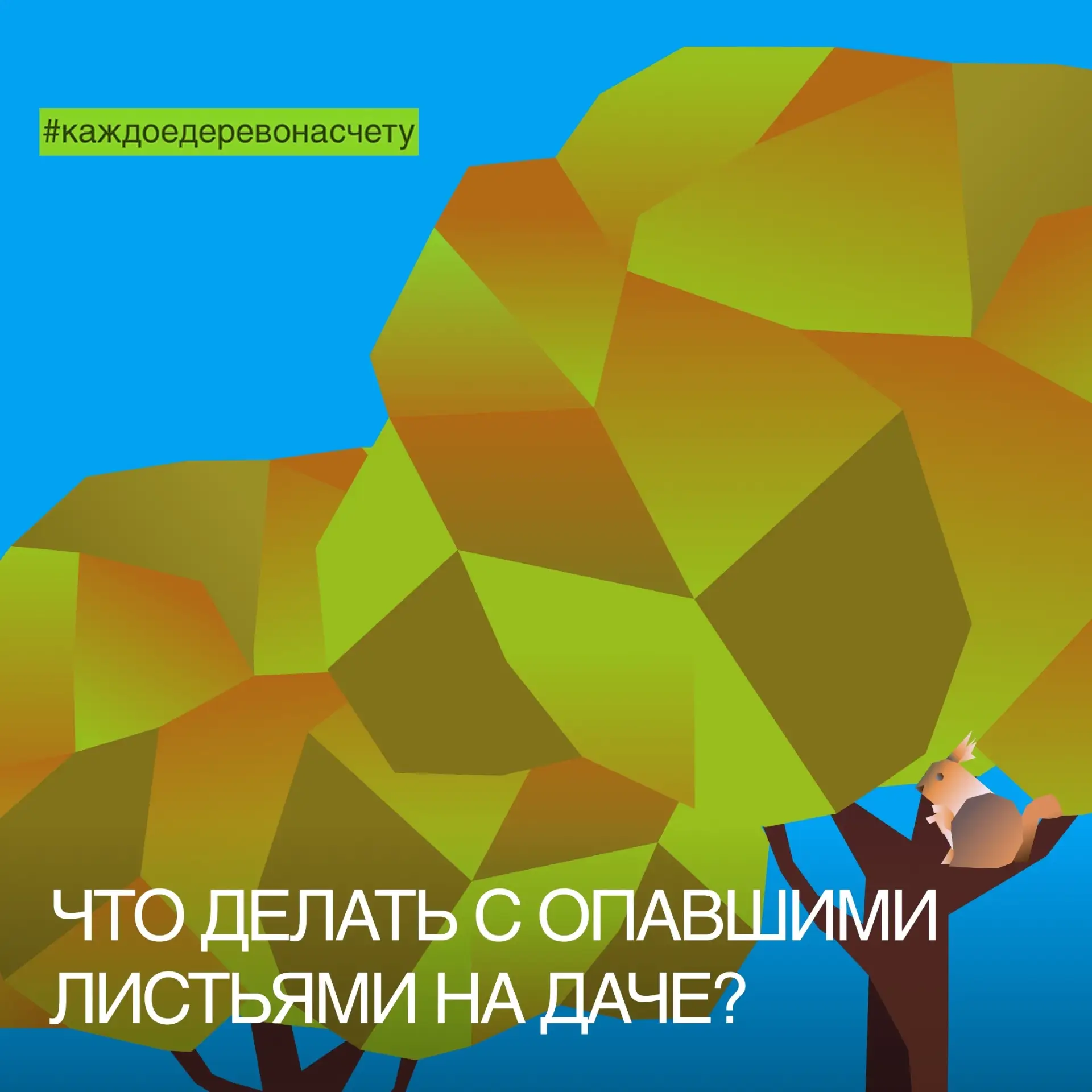 Осенью дачники сталкиваются с одной и той же проблемой: что делать с опавшими листьями?...