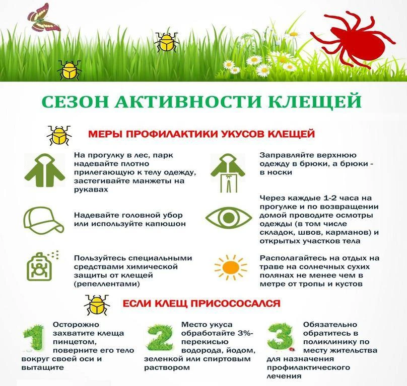 Как уберечься от клещей?