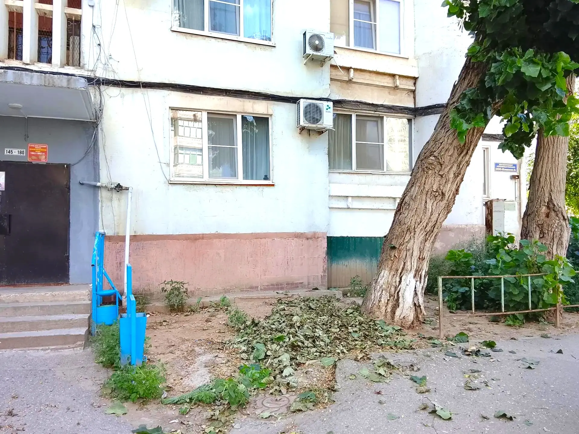 К новости «✂️ 🌳 Зеленый парикмахер:»
