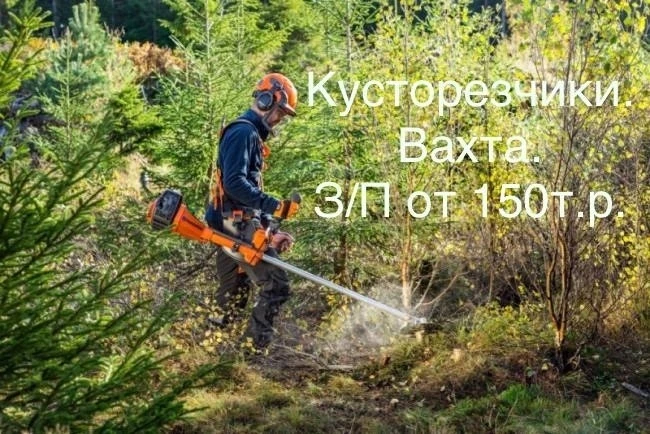 Организация приглашает на работу кусторезчиков для выполнения работ по расчистке трасс ...