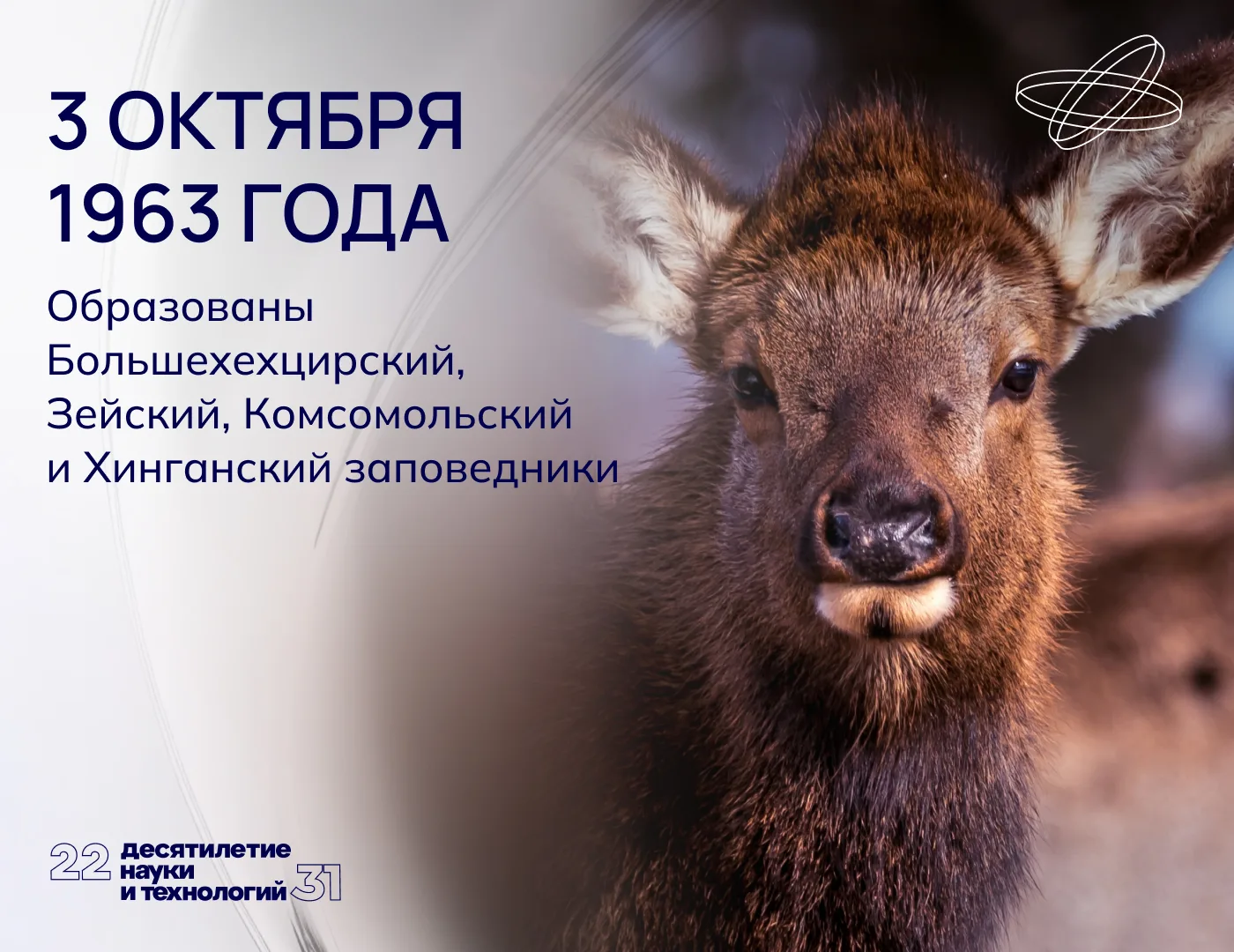 Заповедная четвёрка