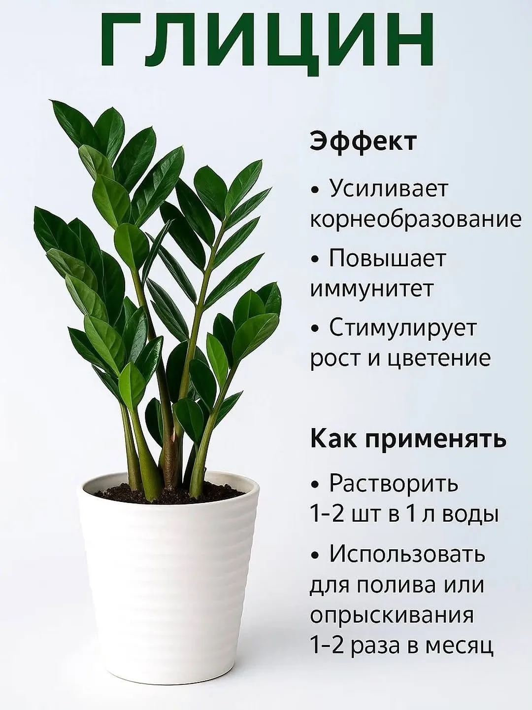 💚 Секреты здоровых комнатных растений 💚