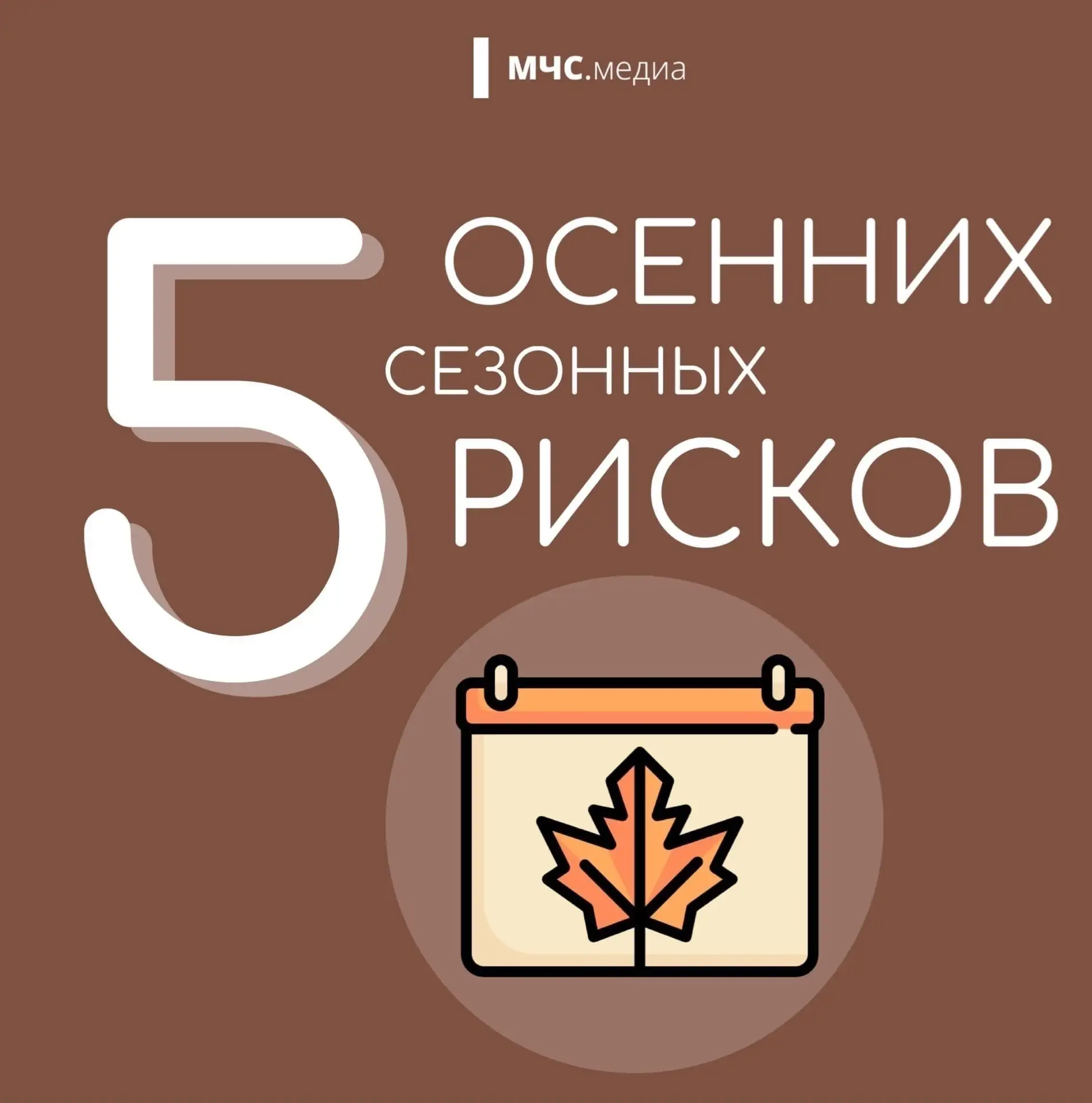 🍂 Советы Верхневолжью: Осенние риски