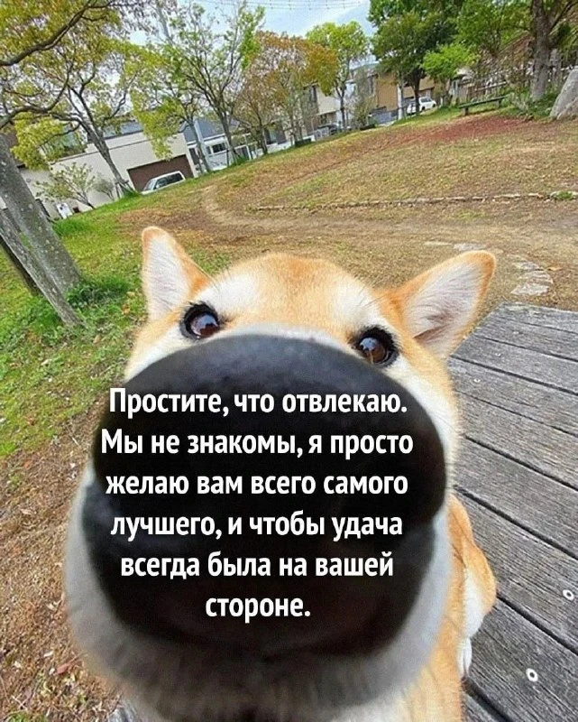 Утречка! Пятничных приятностей вам с самого утра 😊

#юмор | Подписаться на Госзаказ
