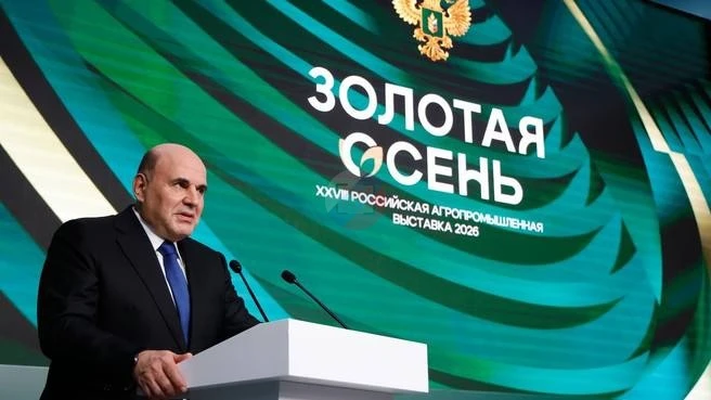 Урожай пшеницы в РФ превысил прошлогодний