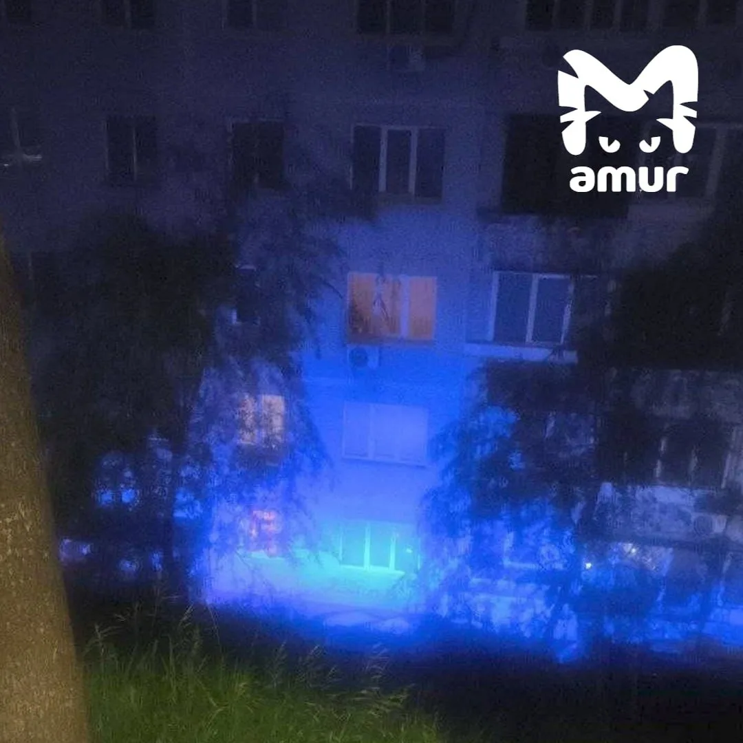 Во Владивостоке под окнами многоэтажки нашли погибшего 10-летнего школьника

Трагедия произошла во д