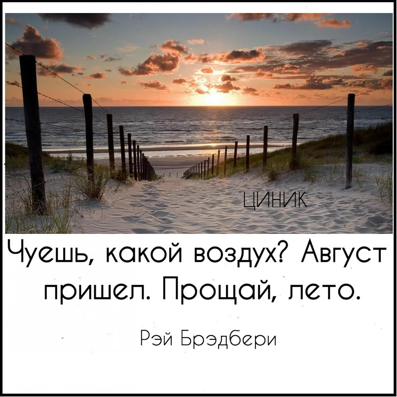 Циник